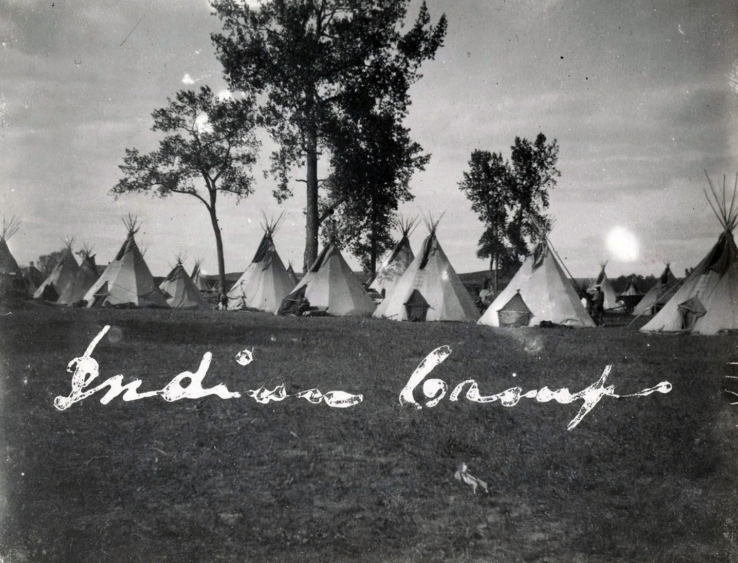 Camp